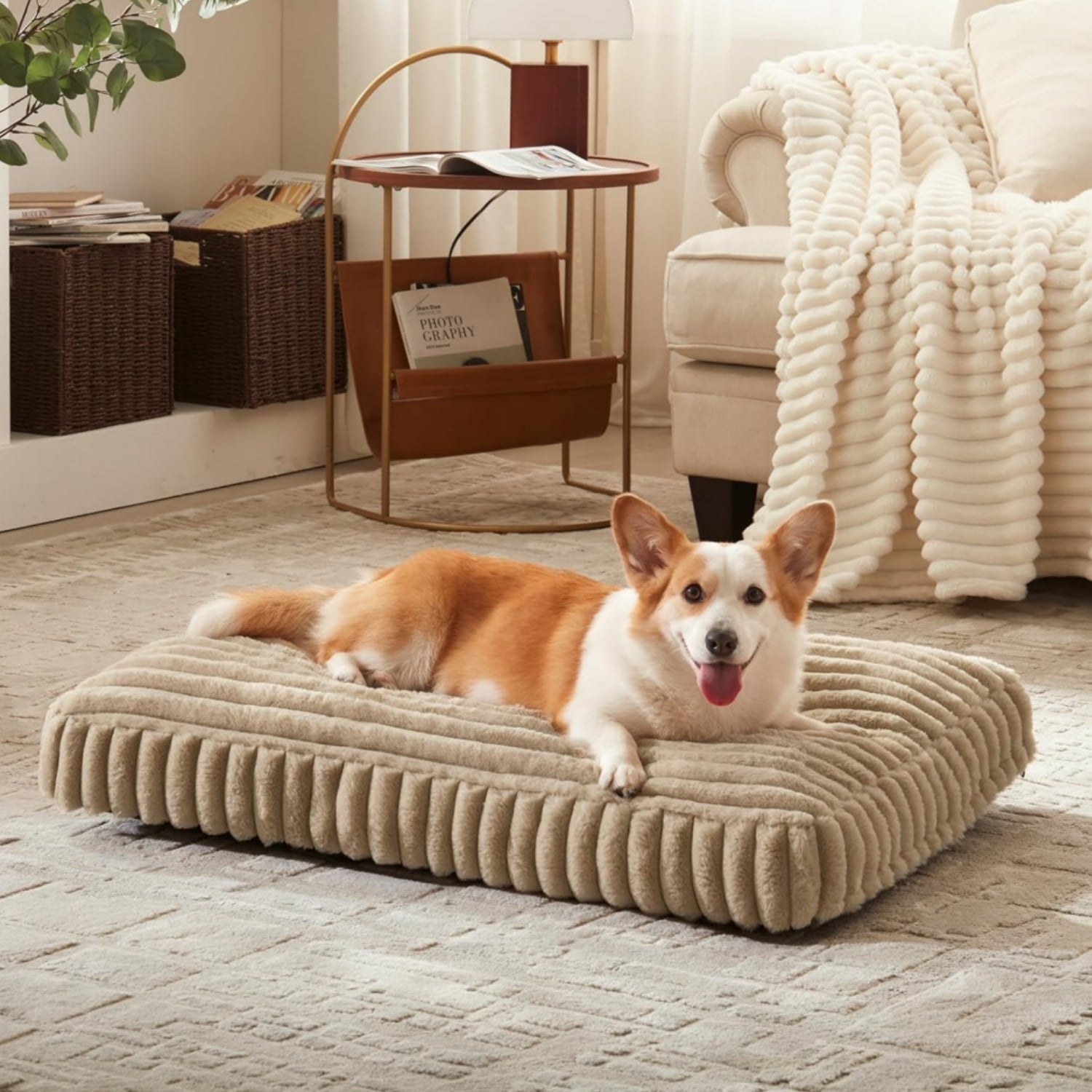 Katieovy Orthopedic Dog Bed for Large Dogs,30*20 inch Large Dog Beds,Washable Dog Beds with Non-Slip Bottom,Khaki