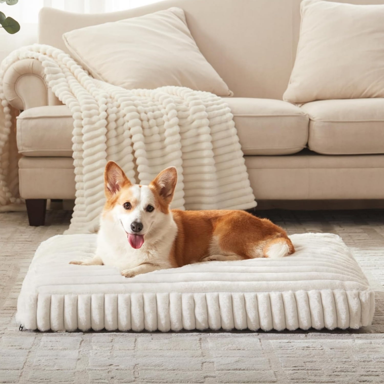 Katieovy Orthopedic Dog Bed for Large Dogs,30*20 inch Large Dog Beds,Washable Dog Beds with Non-Slip Bottom,White