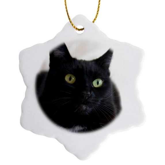 3drose, Katishaw, Domestic Short Haired Cat, Ca - Us05 Tau0074 - Tananarive Aubert, 3 inch Snowflake Porcelain Ornament