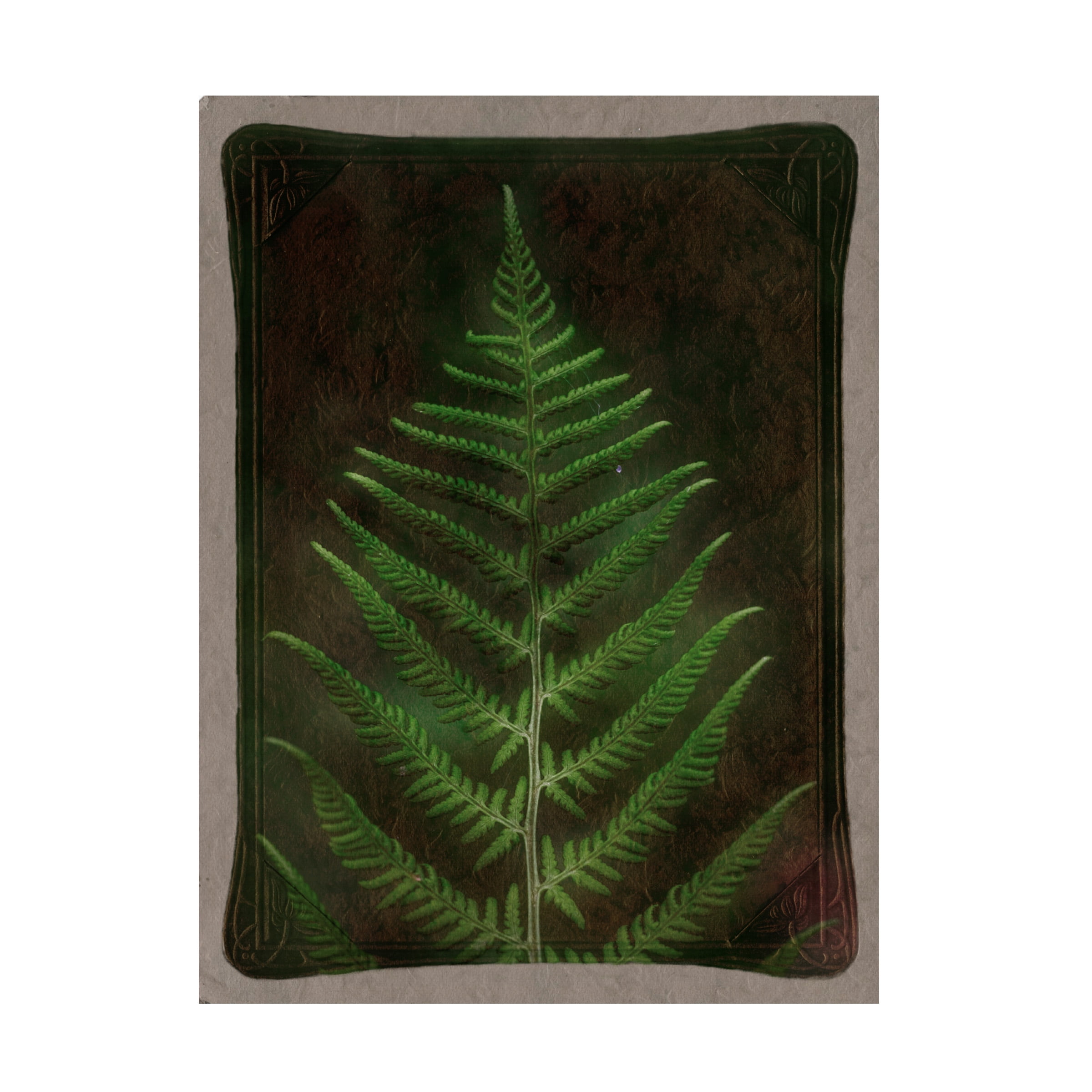 The Havana Fern Top main image 0