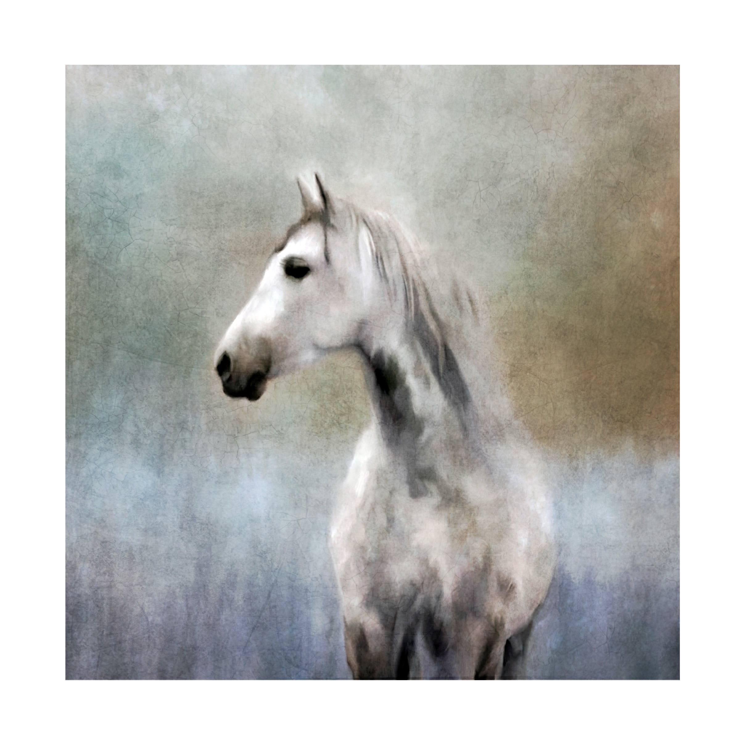 Katrina Jones 'Misty Grey Dappled Horse' Canvas Art