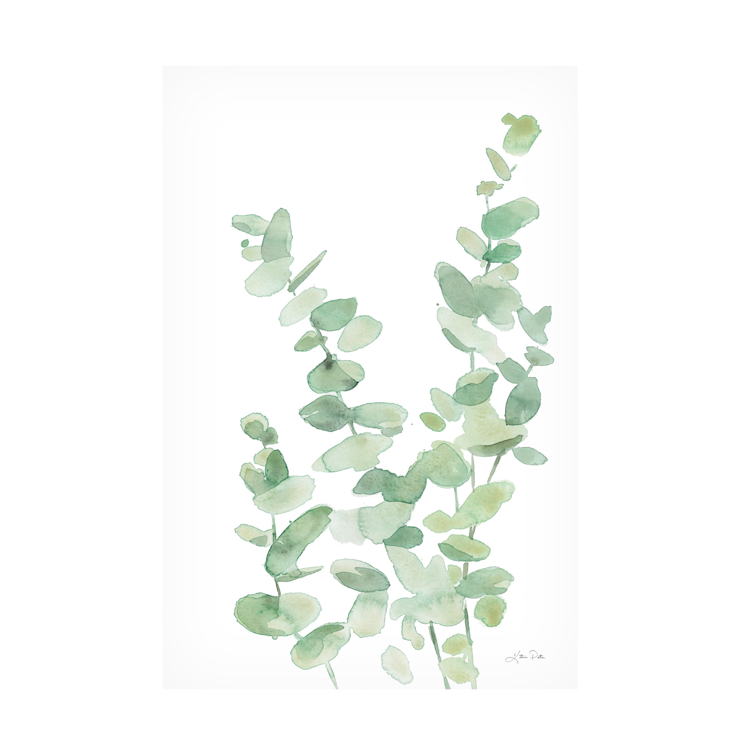 Katrina Pete 'Eucalyptus II' Canvas Art