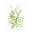 thumbnail image 1 of Katrina Pete 'Eucalyptus III' Canvas Art, 1 of 4