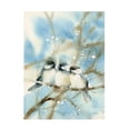 thumbnail image 1 of Katrina Pete 'Three Chickadees' Canvas Art, 1 of 4
