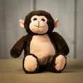 thumbnail image 1 of Katy Flower Shop 14" Huggable Monkey, 1 of 4