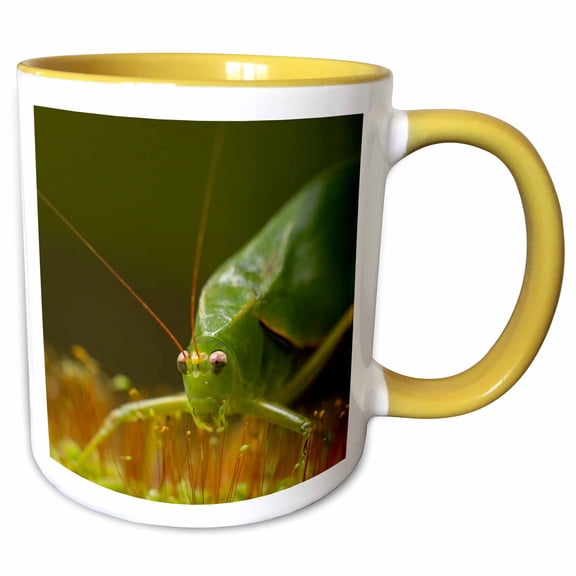 3drose, Katydid, Orthopteran, in Cloud Forest, Costa Rica, 15oz Two-tone Yellow Mug