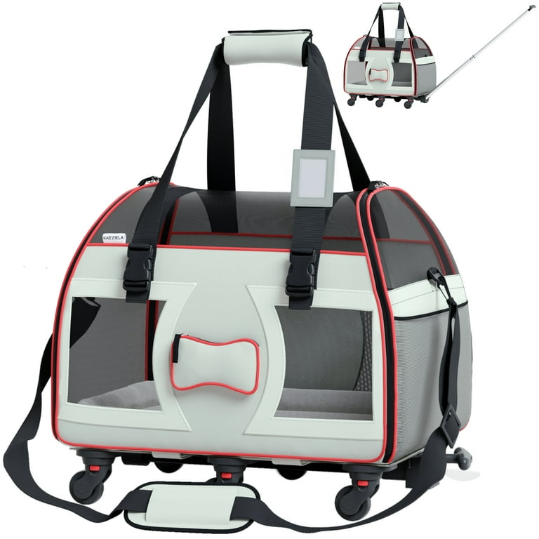 Coach dog carrier 2025