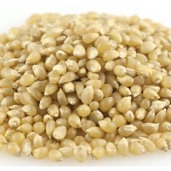 Kauffman Orchards White Popcorn Kernels in Bulk, 3 Pound Bag