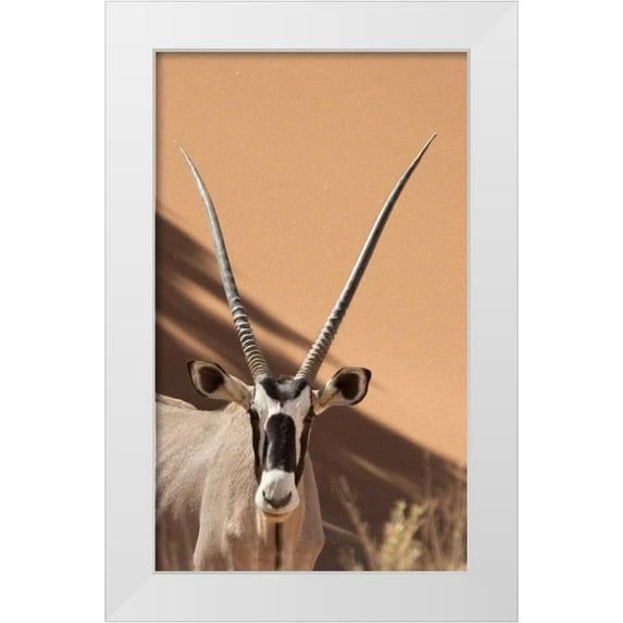 Kaveney, Wendy 10x14 White Modern Wood Framed Museum Art Print Titled - Namibia, Sossusvlei, Namib-Naukluft Park Oryx