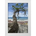 thumbnail image 1 of Kaveney, Wendy 11x14 White Modern Wood Framed Museum Art Print Titled - French Polynesia, Rangiroa Tree over the beach, 1 of 4