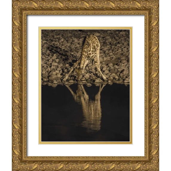Kaveney, Wendy 12x14 Gold Ornate Wood Framed with Double Matting Museum Art Print Titled - Namibia, Etosha NP Drinking giraffe at night