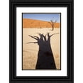 thumbnail image 1 of Kaveney, Wendy 13x18 Black Ornate Wood Framed with Double Matting Museum Art Print Titled - Namibia, Sossusvlei Dead tree casts shadow, 1 of 4