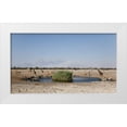 thumbnail image 1 of Kaveney, Wendy 14x10 White Modern Wood Framed Museum Art Print Titled - Animals gather at waterhole, Etosha NP, Namibia, 1 of 4