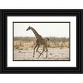 thumbnail image 1 of Kaveney, Wendy 14x11 Black Ornate Wood Framed with Double Matting Museum Art Print Titled - Africa, Namibia, Etosha NP Running giraffe, 1 of 4