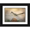 thumbnail image 1 of Kaveney, Wendy 14x11 Black Ornate Wood Framed with Double Matting Museum Art Print Titled - Arizona, Santa Rita Mts A greater roadrunner, 1 of 4