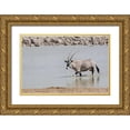thumbnail image 1 of Kaveney, Wendy 14x11 Gold Ornate Wood Framed with Double Matting Museum Art Print Titled - Namibia, Etosha NP Oryx wading in waterhole, 1 of 4
