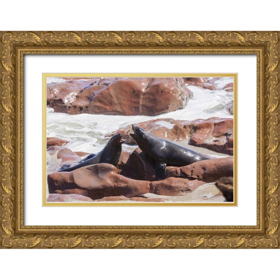 Kaveney, Wendy 14x11 Gold Ornate Wood Framed with Double Matting Museum Art Print Titled - Namibia, Skeleton Coast Two cape fur seals
