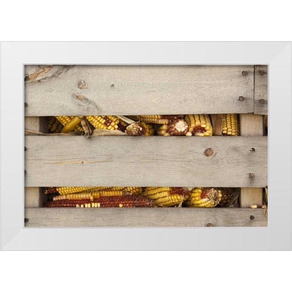 Kaveney, Wendy 14x11 White Modern Wood Framed Museum Art Print Titled - Corn in corn crib Indianapolis, Indiana, USA
