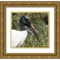 thumbnail image 1 of Kaveney, Wendy 16x15 Gold Ornate Wood Framed with Double Matting Museum Art Print Titled - Florida, Everglades NP Endangered wood stork, 1 of 4
