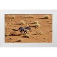 thumbnail image 1 of Kaveney, Wendy 18x12 White Modern Wood Framed Museum Art Print Titled - Namibia, Sossusvlei Aerial of running oryx, 1 of 4