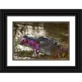 thumbnail image 1 of Kaveney, Wendy 18x13 Black Ornate Wood Framed with Double Matting Museum Art Print Titled - FL, Everglades NP American alligator with a toy, 1 of 4