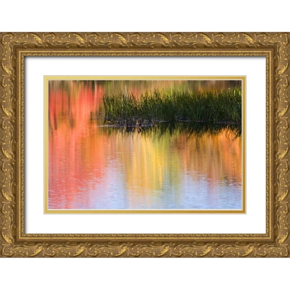 Kaveney, Wendy 18x13 Gold Ornate Wood Framed with Double Matting Museum Art Print Titled - ME, South Paris Grasses growing in water in fall