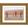 thumbnail image 1 of Kaveney, Wendy 18x13 Gold Ornate Wood Framed with Double Matting Museum Art Print Titled - Namibia, Namib-Naukluft, Deadvlei Misty Morning, 1 of 4