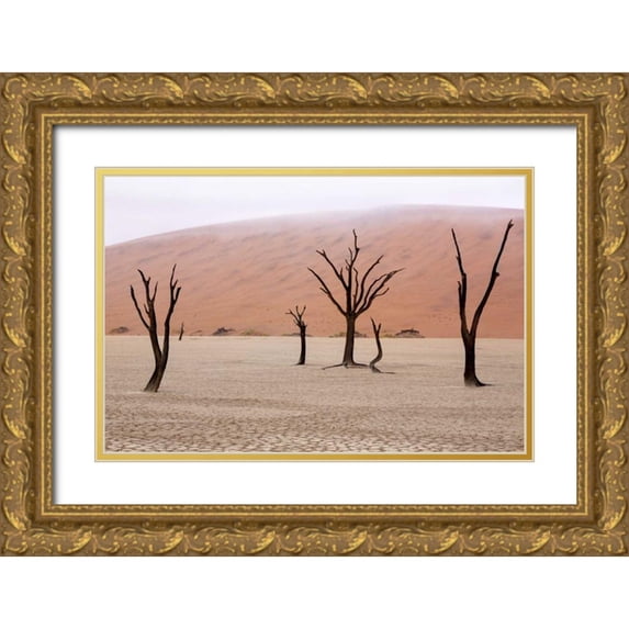 Kaveney, Wendy 18x13 Gold Ornate Wood Framed with Double Matting Museum Art Print Titled - Namibia, Namib-Naukluft, Deadvlei Misty Morning