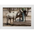 thumbnail image 1 of Kaveney, Wendy 18x13 White Modern Wood Framed Museum Art Print Titled - Botswana, Tsodilo Hills Goats drinking from pump, 1 of 4