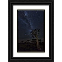 Kaveney, Wendy 22x32 Black Ornate Wood Framed with Double Matting Museum Art Print Titled - Namibia Milky Way and quiver trees at night