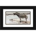 thumbnail image 1 of Kaveney, Wendy 24x14 Black Ornate Wood Framed with Double Matting Museum Art Print Titled - Africa, Namibia, Etosha NP Braying zebra, 1 of 4