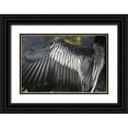 thumbnail image 1 of Kaveney, Wendy 24x17 Black Ornate Wood Framed with Double Matting Museum Art Print Titled - FL, Everglades NP Details of Anhinga wing, 1 of 4