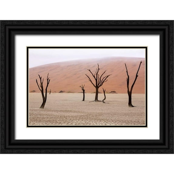 Kaveney, Wendy 24x17 Black Ornate Wood Framed with Double Matting Museum Art Print Titled - Namibia, Namib-Naukluft, Deadvlei Misty Morning