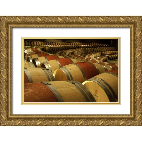 Kaveney, Wendy 24x17 Gold Ornate Wood Framed with Double Matting Museum Art Print Titled - Chile, Colchagua Wine barrels in the cellar
