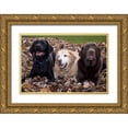 thumbnail image 1 of Kaveney, Wendy 24x17 Gold Ornate Wood Framed with Double Matting Museum Art Print Titled - Labrador retriever dogs in a pile of leaves PR, 1 of 4