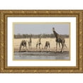 thumbnail image 1 of Kaveney, Wendy 24x17 Gold Ornate Wood Framed with Double Matting Museum Art Print Titled - Namibia, Etosha NP Giraffes at the waterhole, 1 of 4