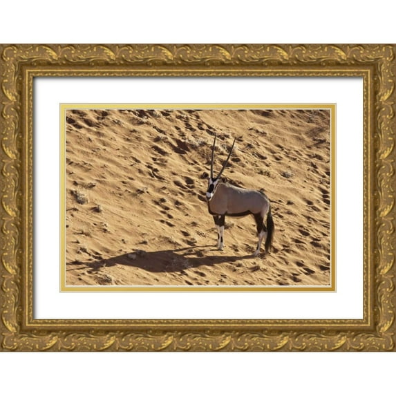 Kaveney, Wendy 24x17 Gold Ornate Wood Framed with Double Matting Museum Art Print Titled - Namibia, Namib-Naukluft , Sossusvlei Lone oryx