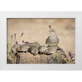 thumbnail image 1 of Kaveney, Wendy 24x17 White Modern Wood Framed Museum Art Print Titled - Arizona, Amado Female Gambels quail with chicks, 1 of 4
