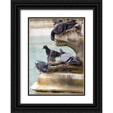 Kaveney, Wendy 24x32 Black Ornate Wood Framed with Double Matting Museum Art Print Titled - Italy, Tuscany, Sienna Birds drink from a statue