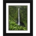 thumbnail image 1 of Kaveney, Wendy 25x32 Black Ornate Wood Framed with Double Matting Museum Art Print Titled - USA, Hawaii, Hilo View if Akaka Falls, 1 of 4