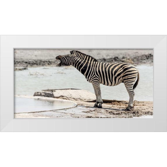 Kaveney, Wendy 32x18 White Modern Wood Framed Museum Art Print Titled - Africa, Namibia, Etosha NP Braying zebra