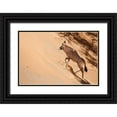 thumbnail image 1 of Kaveney, Wendy 32x23 Black Ornate Wood Framed with Double Matting Museum Art Print Titled - Namibia, Sossusvlei Oryx climbing a sand dune, 1 of 4