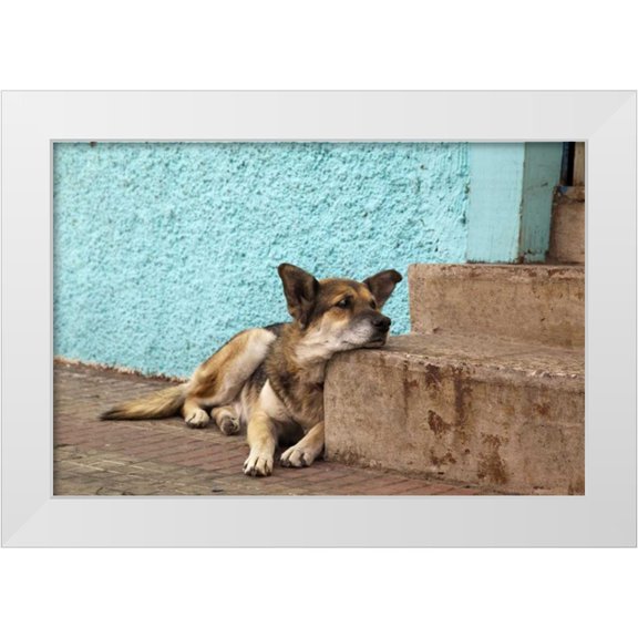 Kaveney, Wendy 32x23 White Modern Wood Framed Museum Art Print Titled - Chile, Valparaiso German shepherd resting