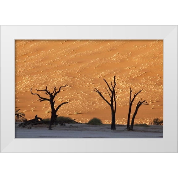 Kaveney, Wendy 32x23 White Modern Wood Framed Museum Art Print Titled - Dead tree, Dead Vlei, Sossusvlei, Namibia
