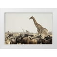 thumbnail image 1 of Kaveney, Wendy 32x23 White Modern Wood Framed Museum Art Print Titled - Namibia, Etosha NP Animals at a waterhole, 1 of 4