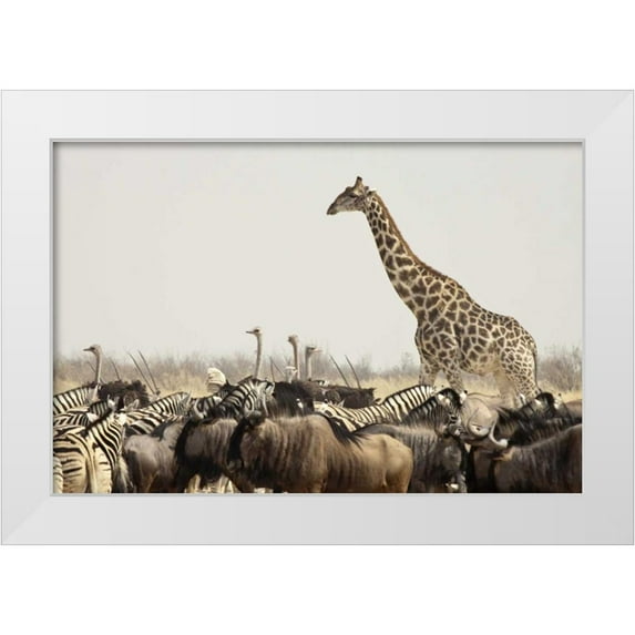 Kaveney, Wendy 32x23 White Modern Wood Framed Museum Art Print Titled - Namibia, Etosha NP Animals at a waterhole