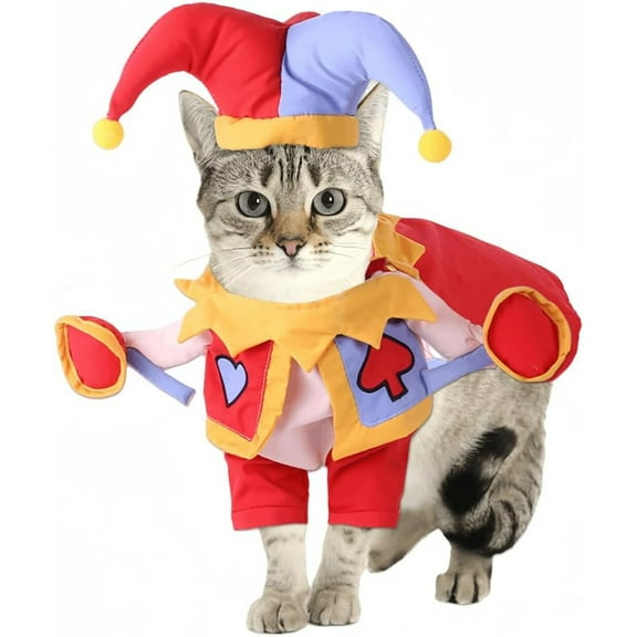 Kawaii Dog Clothes Cat Costume Cat Halloween Costumes Cat Magic Clothes Cat Velvet Warm Clothes Halloween Cat Sweater