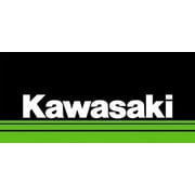 Kawasaki OEM Replacement Air Filter KX450F KX250F 11013-0766