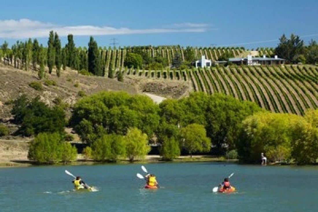 Kayakers and vineyard Bannockburn Inlet Lake Dunstan Central Otago South Island New Zealand Canvas Art - David Wall DanitaDelimont (36 x 24)
