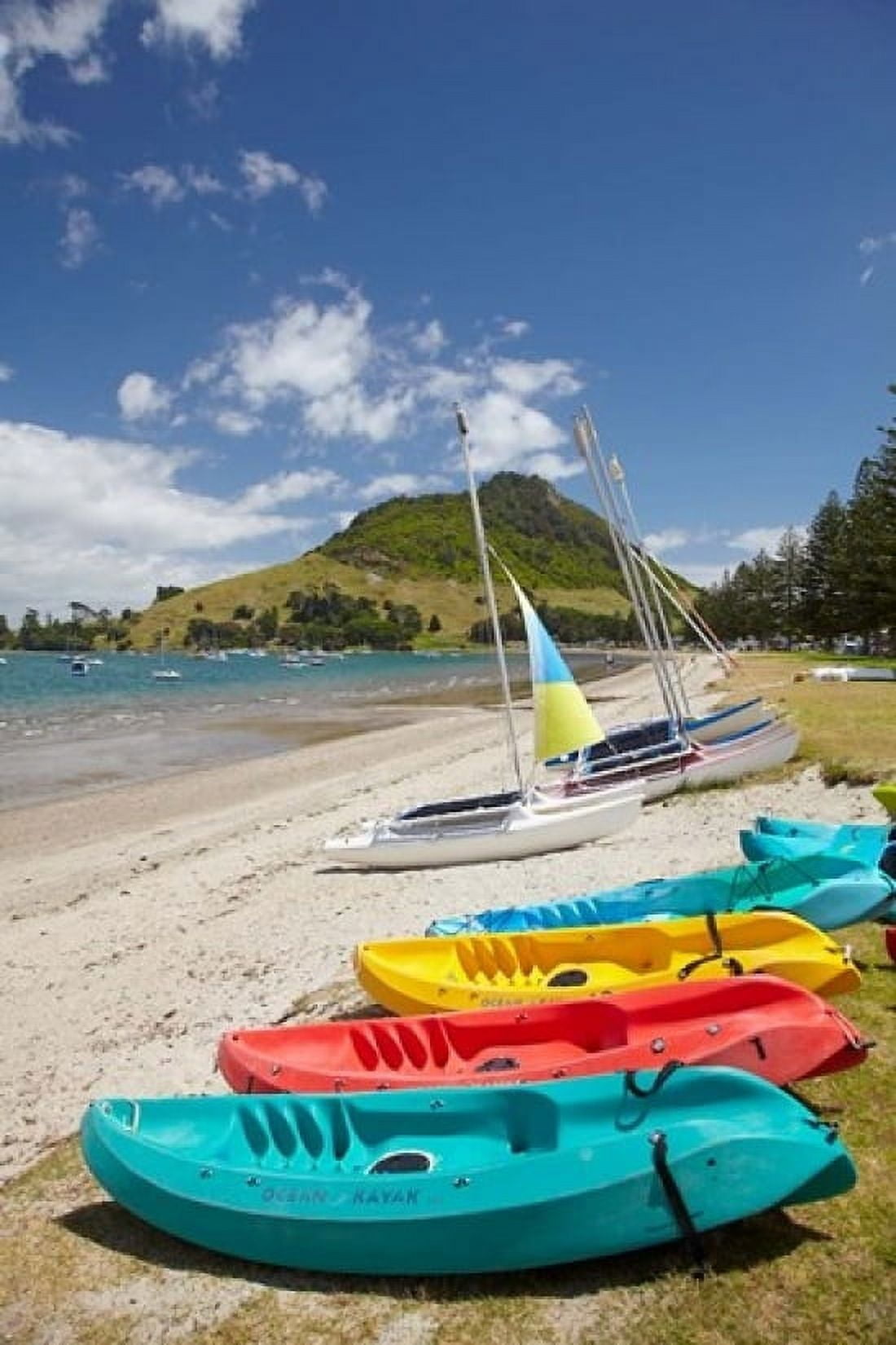 Kayaks Bay of Plenty North Island New Zealand Canvas Art - David Wall DanitaDelimont (18 x 24)